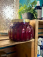Sugared Spice 19 oz Jar
