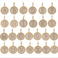 Madison Initial Clip Charm